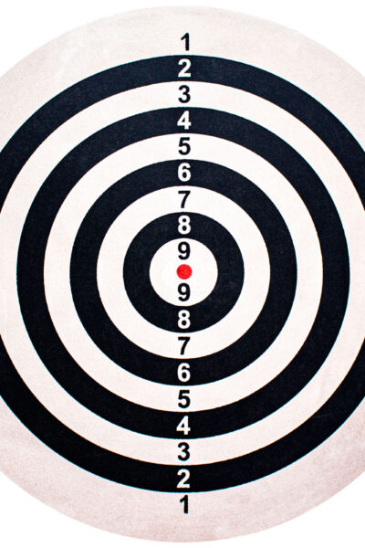 ΣΤΟΧΟΣ DART BULL'S Bristol Flocked Paper Dart Board – πρόσθετη εικόνα 1