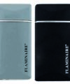 F13519 Flaminaire JET lighters σε Display