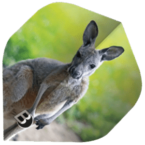 ΦΤΕΡΑ BULL'S DART, Motex Flights, A-Std, Koala
