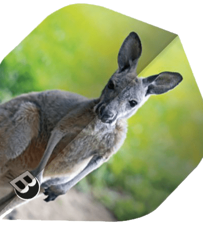 ΦΤΕΡΑ BULL'S DART, Motex Flights, A-Std, Koala