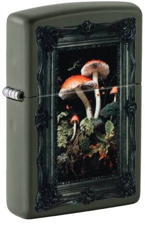 46841 Framed Fungi