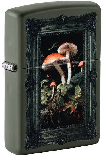 46841 Framed Fungi